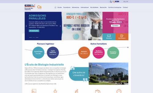 Création & refonte de site web
